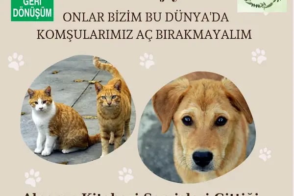 Alperen Kitabevi Sahaf ve Geri Dönüşüm Hizmetleri - Resim 7