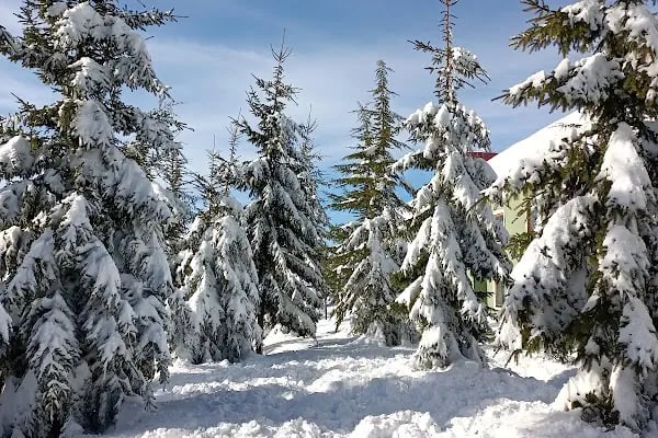 Kartepe Kayak Evi - Resim 5