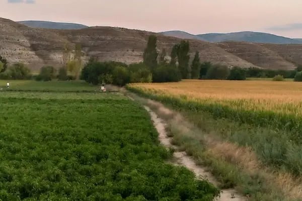 Dometesin başkenti - Resim 12