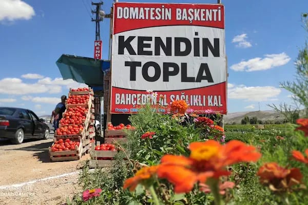 Dometesin başkenti - Resim 3