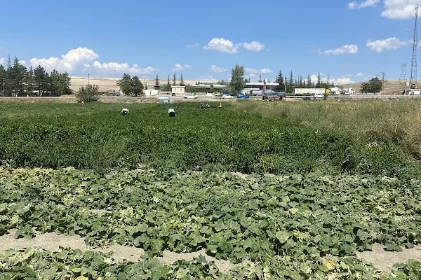 Dometesin başkenti - Resim 17