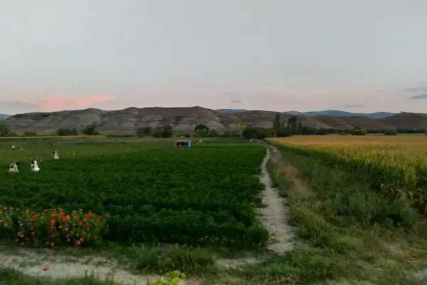 Dometesin başkenti - Resim 14