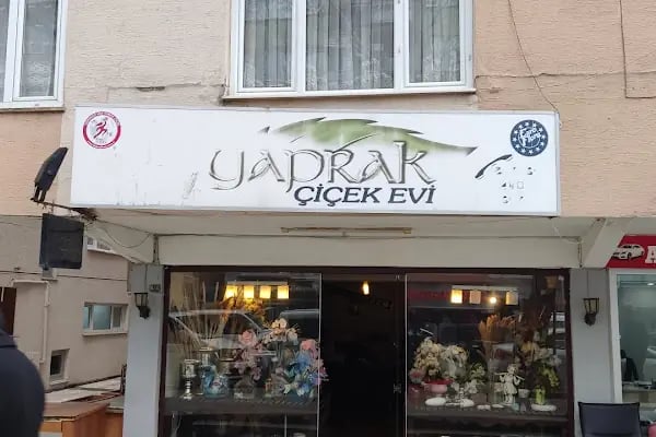 Yaprak Çiçek Evi - Resim 2