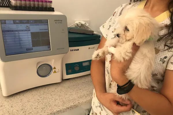 Petvital Veteriner Kliniği - Resim 4