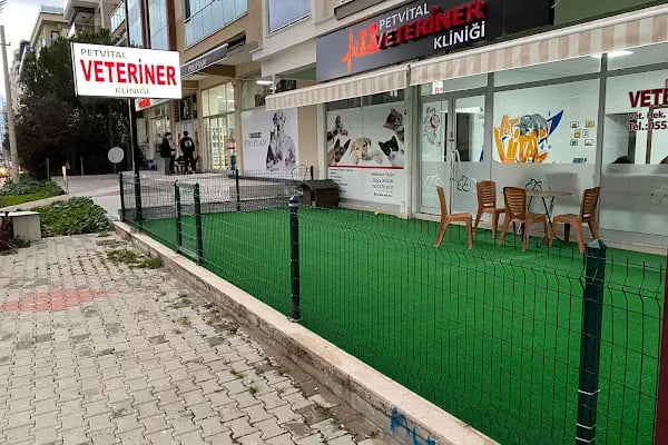 Petvital Veteriner Kliniği - Resim 10