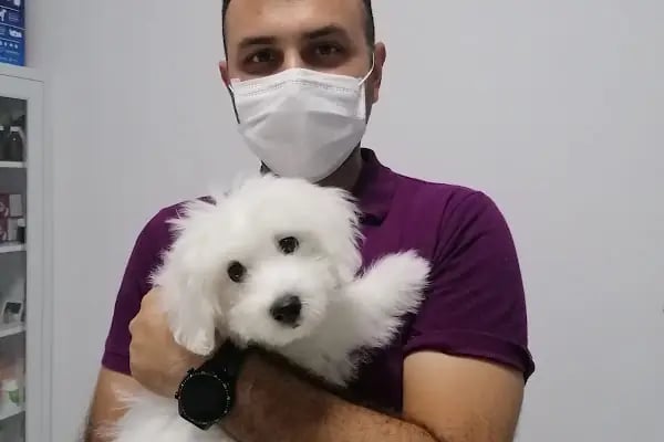 Petvital Veteriner Kliniği - Resim 19