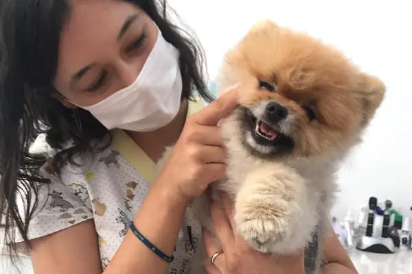 Petvital Veteriner Kliniği - Resim 6
