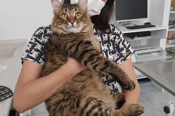 Petvital Veteriner Kliniği - Resim 18