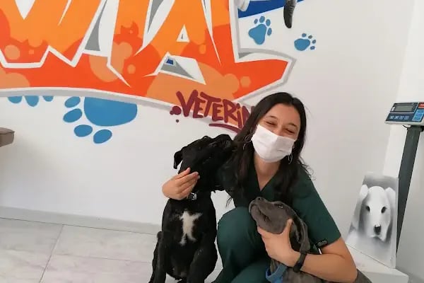 Petvital Veteriner Kliniği - Resim 5
