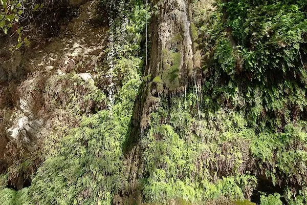 Kurşunlu Şelalesi/Kurşunlu Waterfall - Resim 3