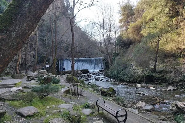Kurşunlu Şelalesi/Kurşunlu Waterfall - Resim 11