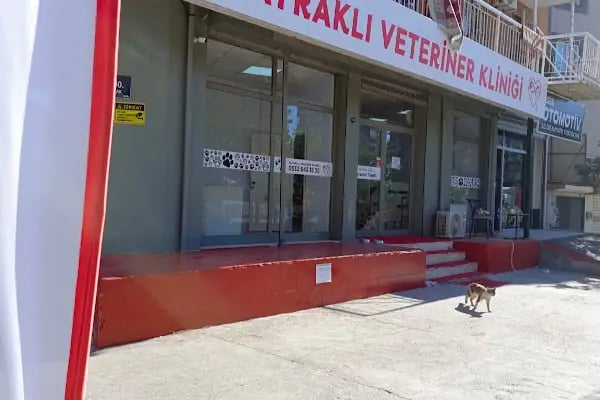 Bayraklı Veteriner Kliniği - Resim 5