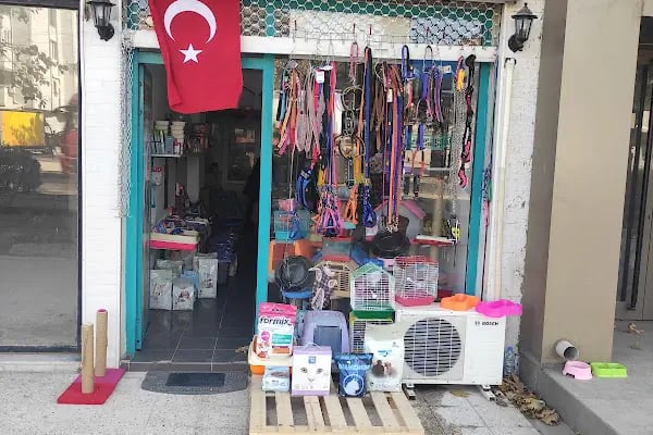 BERGAMA PETSHOP - Resim 4
