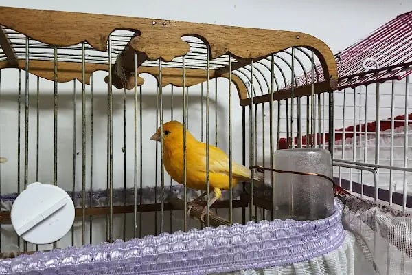 BERGAMA PETSHOP - Resim 3