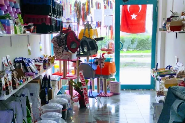 BERGAMA PETSHOP - Resim 2
