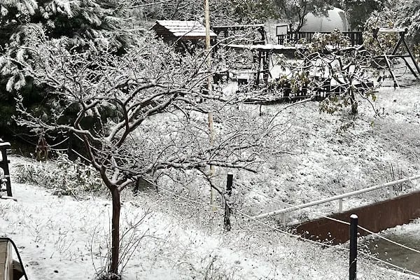 Doğuşlu Binicilik Kulübü - Resim 12
