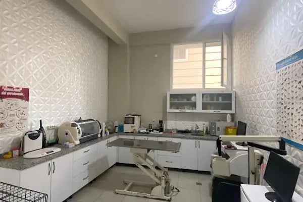 EGE Veteriner Kliniği | BERGAMA - Resim 4