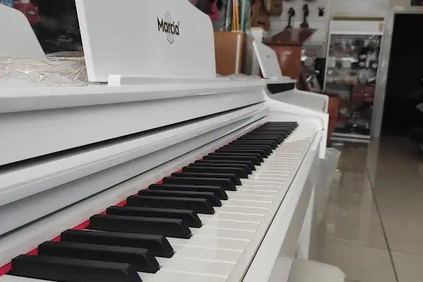 Kökey Müzik Aletleri Dış Ticaret İthalat İhracat LTD. ŞTİ. - Resim 9