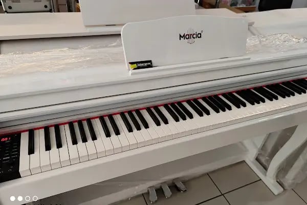 Kökey Müzik Aletleri Dış Ticaret İthalat İhracat LTD. ŞTİ. - Resim 15