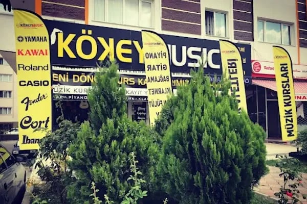 Kökey Müzik Aletleri Dış Ticaret İthalat İhracat LTD. ŞTİ. - Resim 13