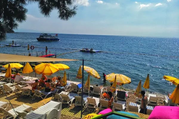 Halik Koyu Aile Plajı - Resim 2