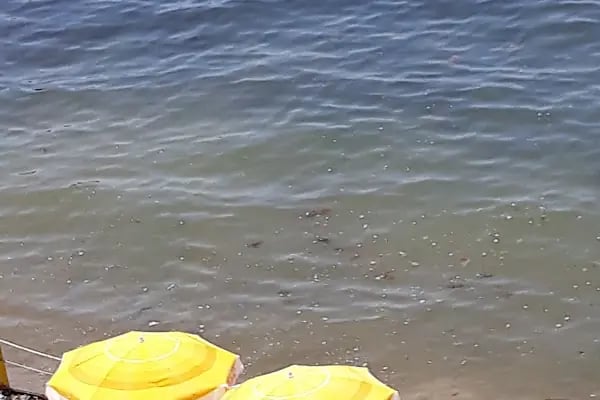 Halik Koyu Aile Plajı - Resim 15