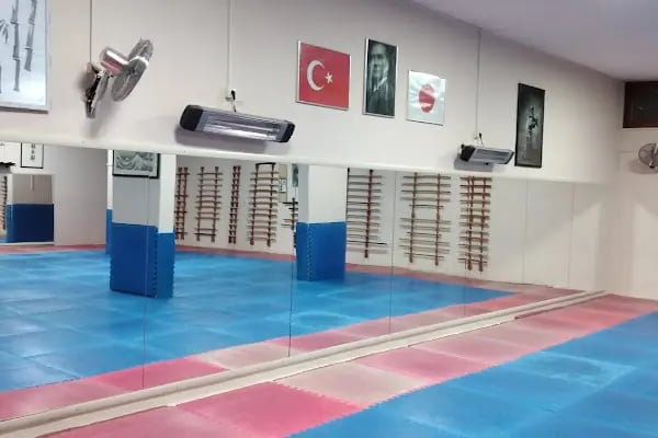 DOĞUKAN DOJO AiKiDO - Resim 5