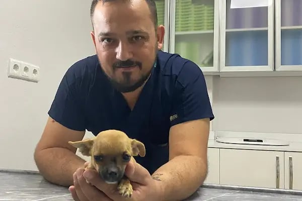 Sertaç Yıldırım Veteriner Kliniği - Resim 5