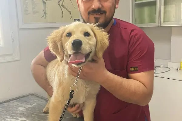 Sertaç Yıldırım Veteriner Kliniği - Resim 2