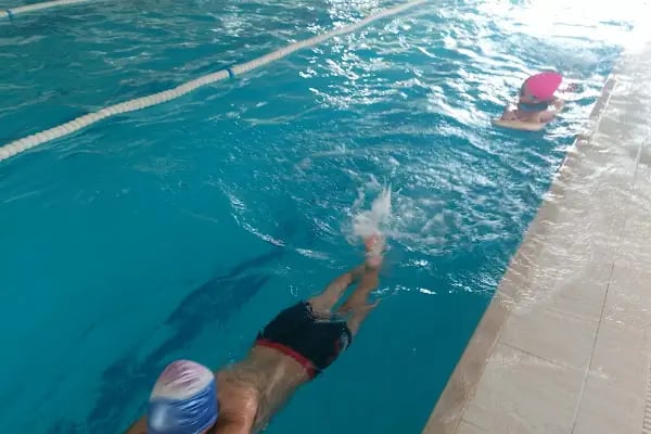 Gençlik Spor Bakanlığı Çukurova Yarı Olimpik Kapalı Yüzme Havuzu - Resim 5