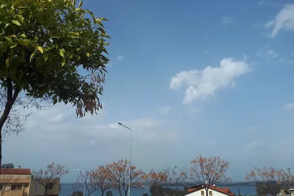 Gençlik Spor Bakanlığı Çukurova Yarı Olimpik Kapalı Yüzme Havuzu - Resim 9