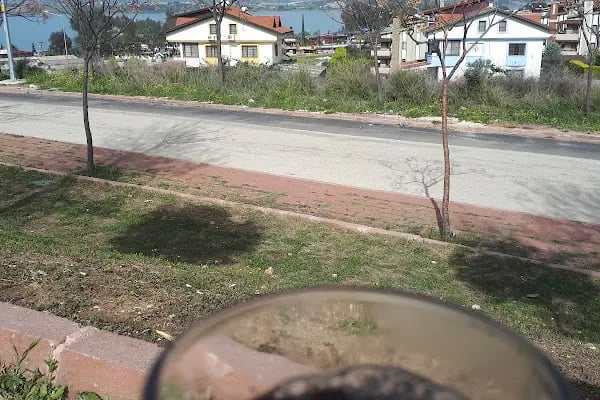 Gençlik Spor Bakanlığı Çukurova Yarı Olimpik Kapalı Yüzme Havuzu - Resim 3