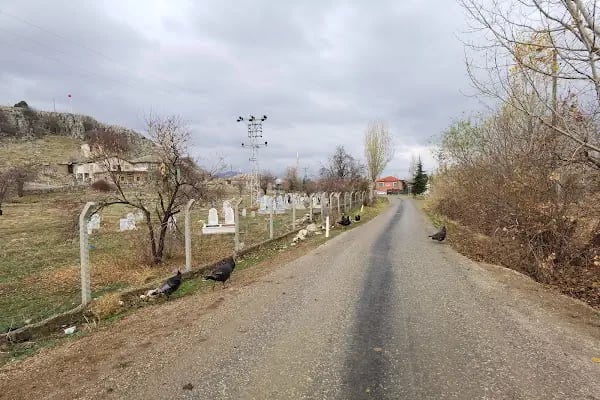 Çiftlikköy - Resim 7