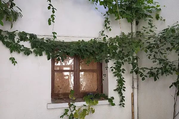 Fındık Pansiyon - Resim 1