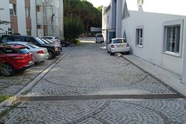 T.C. Orman ve Su İşleri Bakanlığı Doğa Koruma ve Milli Parklar - Resim 9