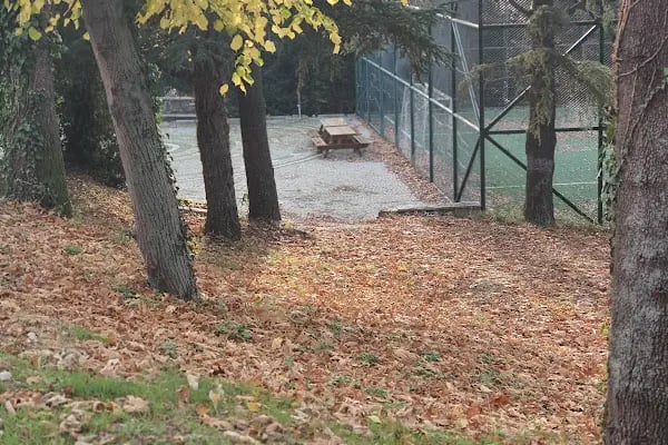 T.C. Orman ve Su İşleri Bakanlığı Doğa Koruma ve Milli Parklar - Resim 3