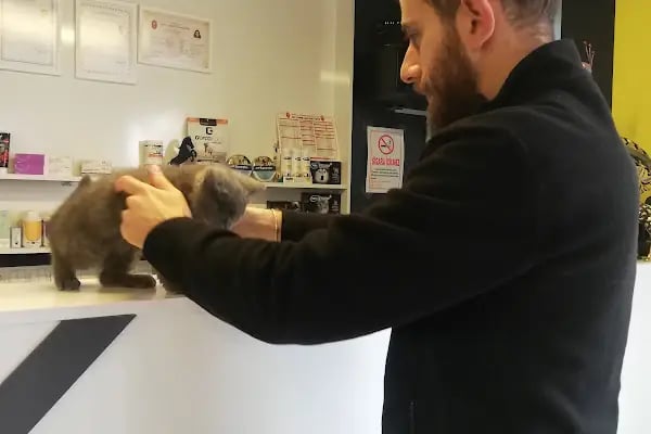 Leon Veteriner Kliniği - Resim 18