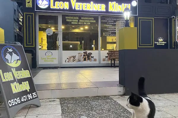 Leon Veteriner Kliniği - Resim 1