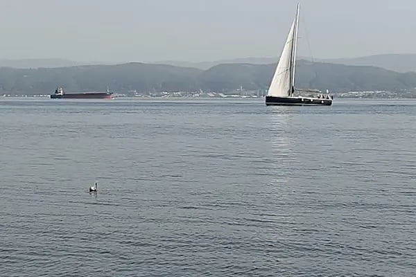 Bayramoğlu Halk Plajı - Resim 7