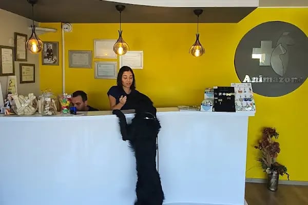 Animazone Veteriner Kliniği - Resim 8