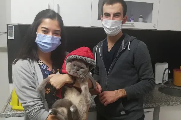 Animazone Veteriner Kliniği - Resim 11