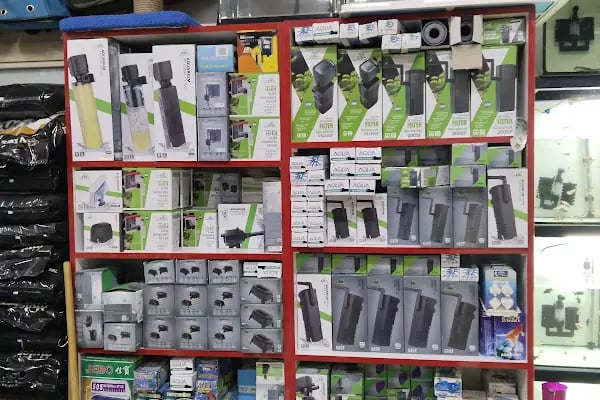 Yıldız Petshop - Resim 11