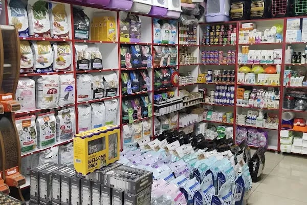 Yıldız Petshop - Resim 2