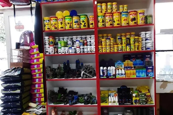 Yıldız Petshop - Resim 20