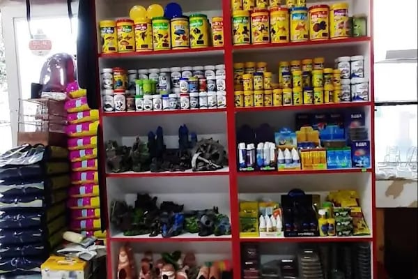 Yıldız Petshop - Resim 14