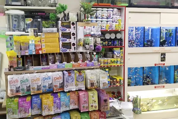 Yıldız Petshop - Resim 5