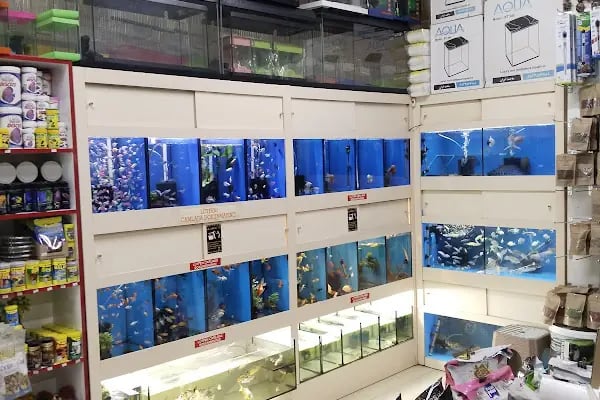 Yıldız Petshop - Resim 8