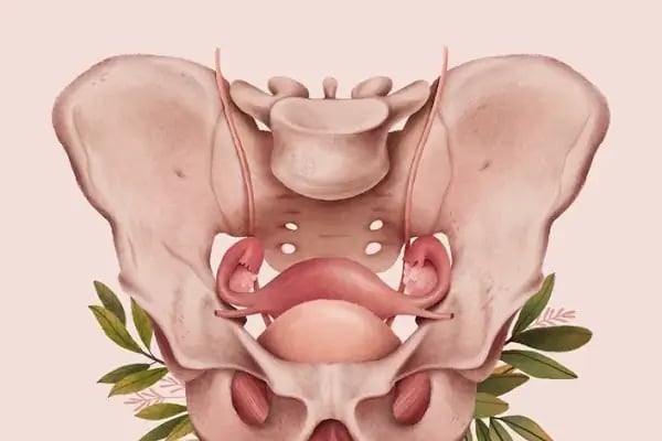 Gynecology Clinic Istanbul -Labiaplasty -Vaginoplasty- Hymenoplasty - Resim 7