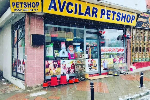 Avcılar Petshop - Resim 3