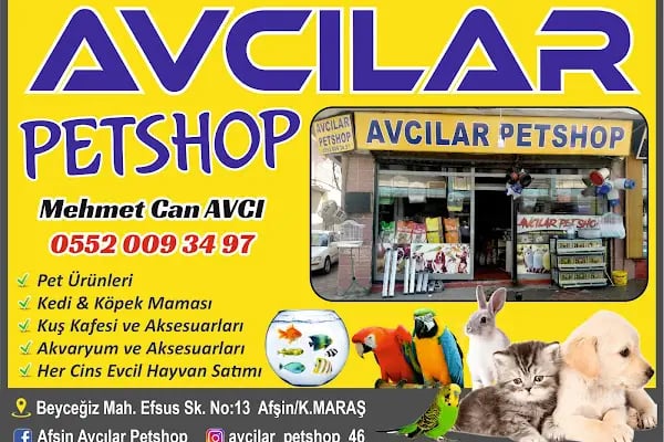 Avcılar Petshop - Resim 4